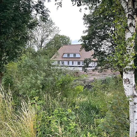 Alte Wassermuehle Sued Borm